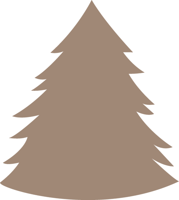 Transparent christmas oregon pine White pine Tree for christmas tree for Christmas