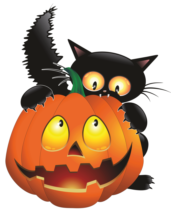 Transparent Cat Halloween Pumpkin Whiskers for Halloween