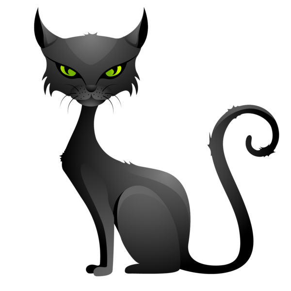Transparent Cat Halloween Black Cat for Halloween
