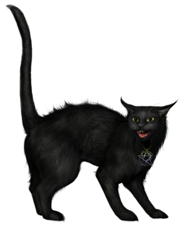 Transparent Cat Black Cat Halloween Fur Whiskers for Halloween