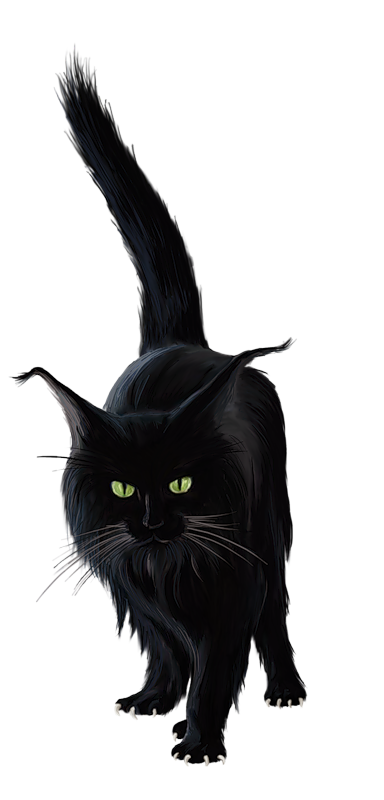 Transparent Bombay Cat Black Cat Halloween Cat for Halloween