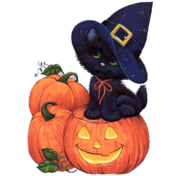 Transparent Halloween Party 31 October Pumpkin Cat for Halloween