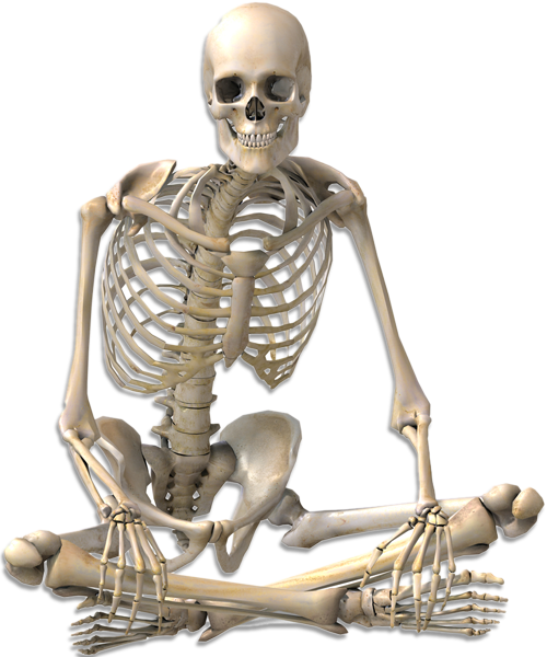 Transparent Human Skeleton Skeleton Anatomy Figurine for Halloween