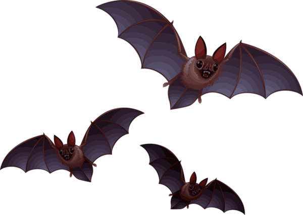 Transparent Bat Halloween Drawing Wing for Halloween