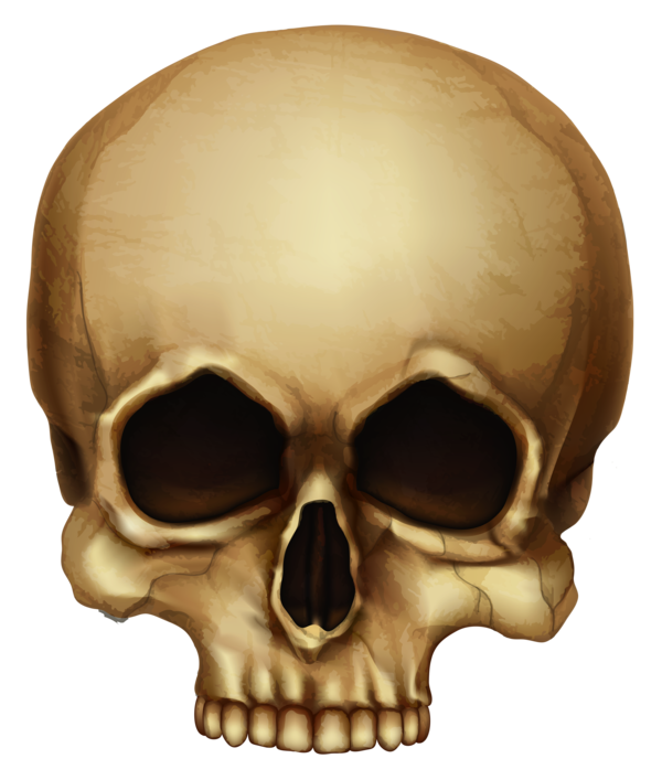 Transparent Calavera Skull Halloween Head Skeleton for Halloween