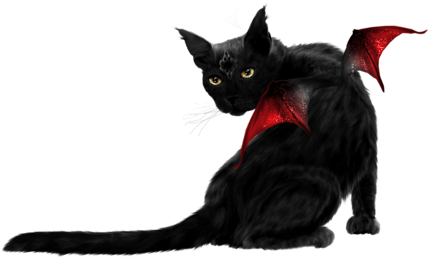 Transparent Bombay Cat Black Cat Kitten Snout Fur for Halloween