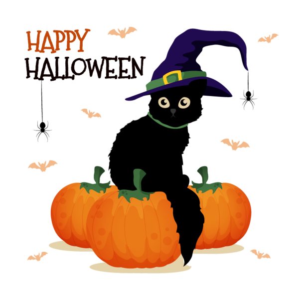 Transparent Halloween Poster Costume Cat for Halloween