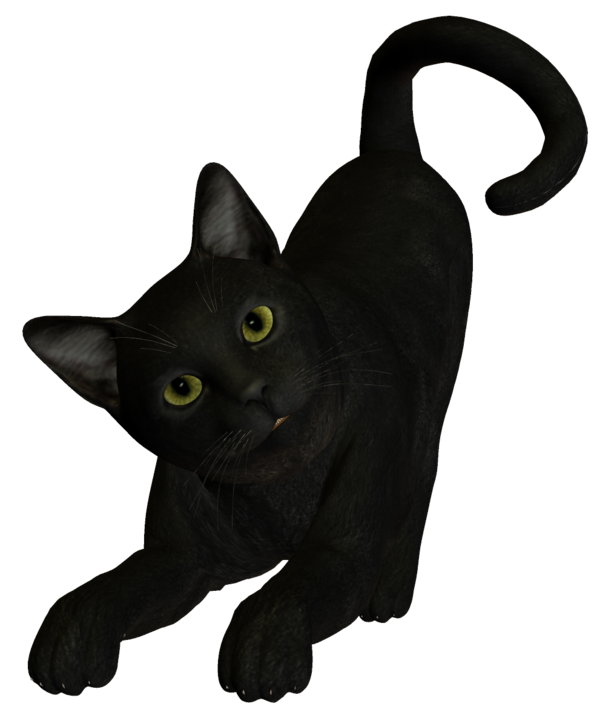 Transparent Black Cat Cat Witchcraft Snout Fur for Halloween