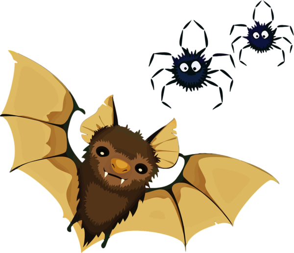 Transparent Bat Spider Vampire Bat Pollinator for Halloween