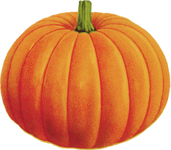 Transparent Pumpkin Halloween Jackolantern Commodity Gourd for Halloween