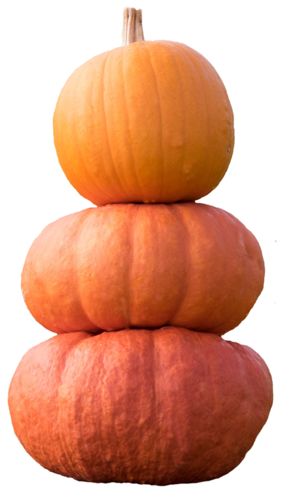 Transparent Pumpkin Calabaza Gourd Vegetarian Food Peach for Halloween