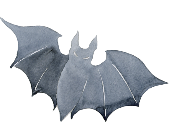 Transparent Bat Halloween Jackolantern for Halloween
