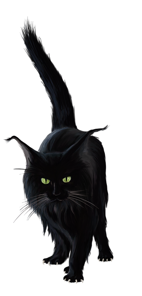 Transparent Siamese Cat Black Cat Mouse Cat for Halloween