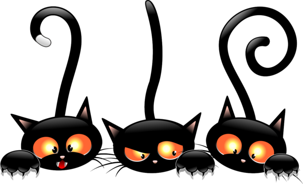 Transparent Cat Kitten Halloween Black Cat Whiskers for Halloween