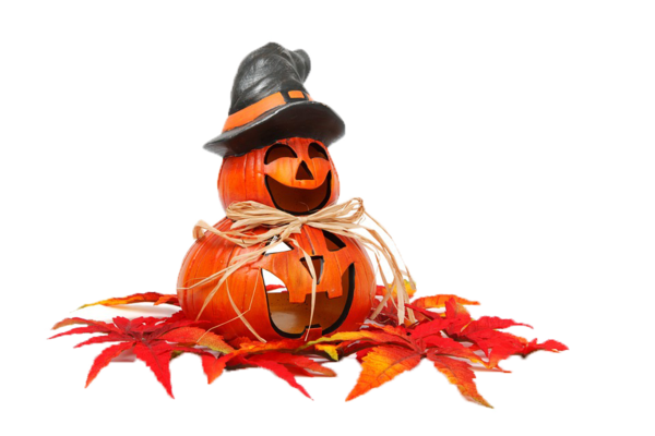 Transparent Halloween Spooktacular Halloween Trickortreating Orange Pumpkin for Halloween