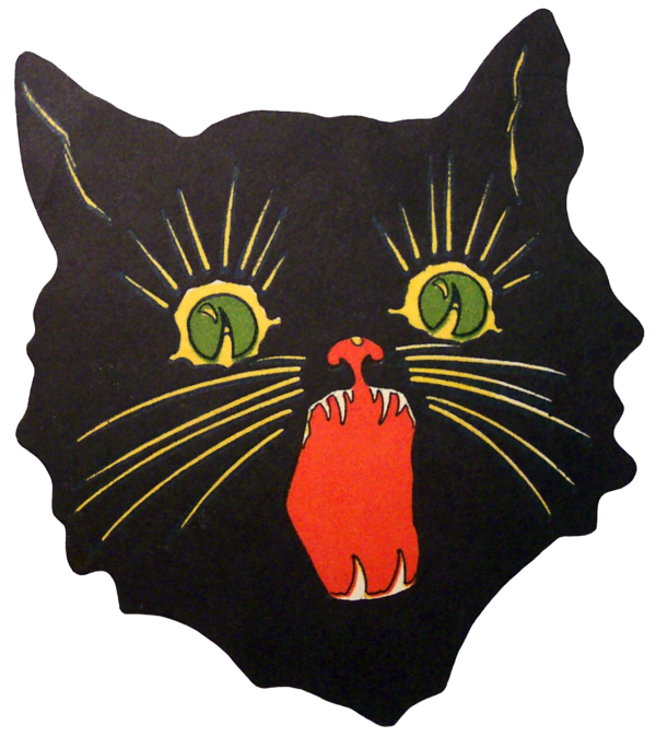 Transparent Black Cat Cat Painting Whiskers for Halloween
