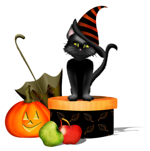 Transparent Black Cat Halloween Boszorkány Cat for Halloween