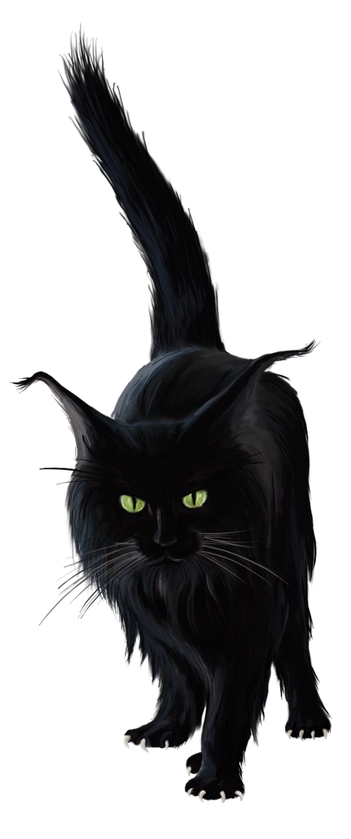 Transparent Bombay Cat Black Cat Norwegian Forest Cat Cat for Halloween