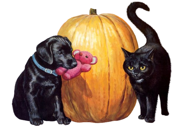Transparent Cat Dog Kitten Snout Puppy for Halloween