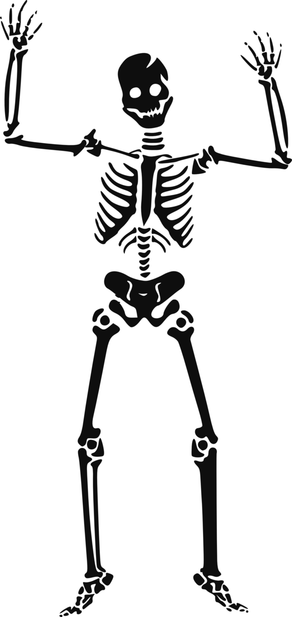 Transparent Skeleton Human Skeleton Skull Standing for Halloween