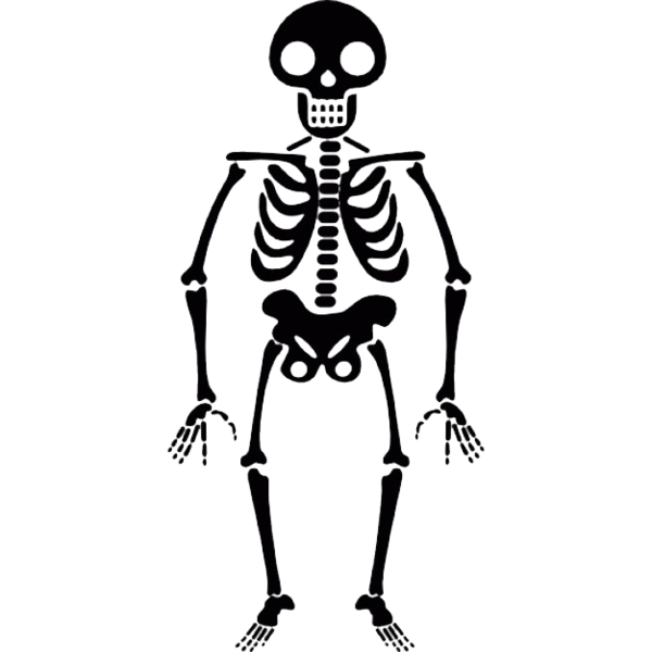 Transparent Skeleton Human Skeleton Bone for Halloween