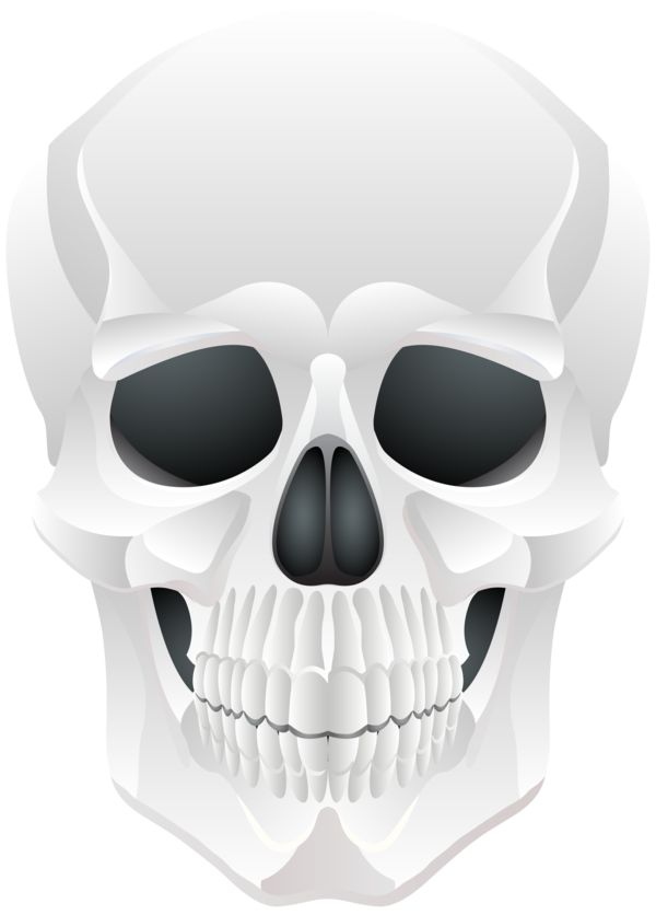 Transparent Skull Bone Halloween Neck for Halloween