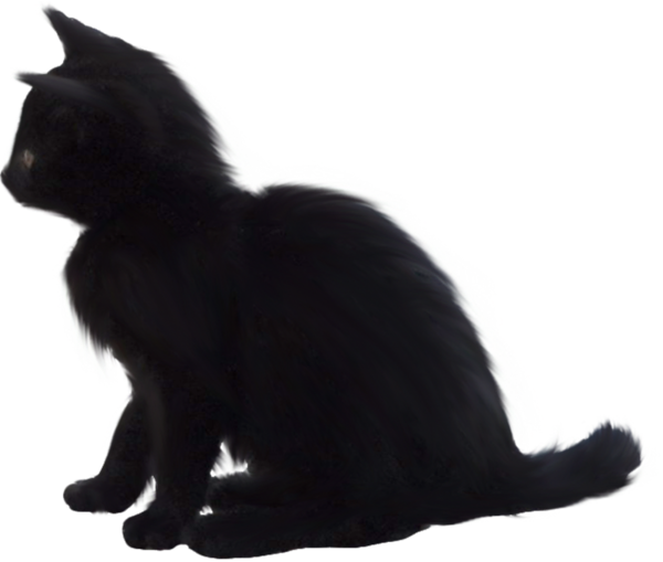 Transparent Black Cat Bombay Cat Kitten Snout Fur for Halloween