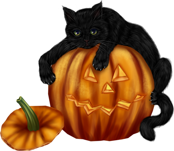 Transparent Halloween Whiskers Black Cat Cat Pumpkin for Halloween