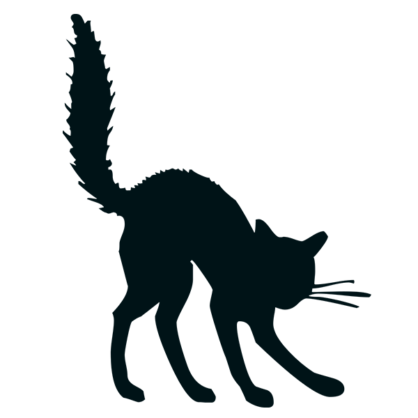Transparent Halloween Cat Drawing Black Cat Wildlife for Halloween