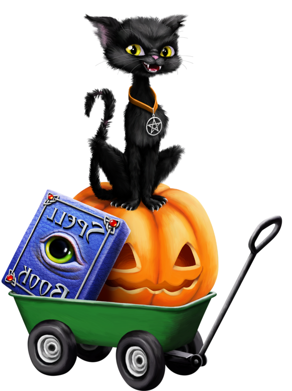 Transparent Halloween Cat Witch for Halloween