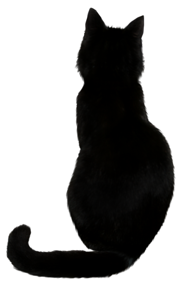 Transparent Savannah Cat Black Cat Cat Food Snout Fur for Halloween