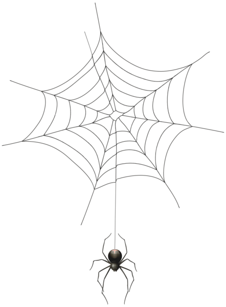 Transparent Spider Halloween Spider Web Line Art Leaf for Halloween