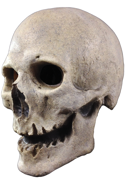 Transparent Mask Skeleton Skull Head for Halloween