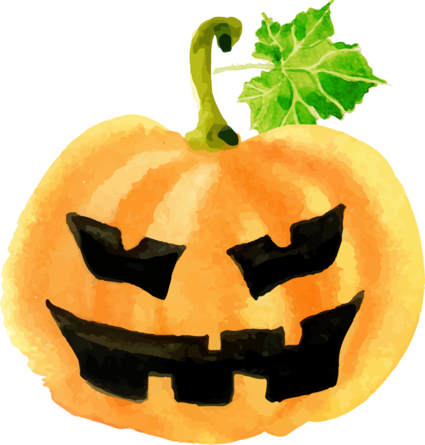 Transparent Cucurbita Maxima Pumpkins Line Match 3 Halloween Winter Squash Orange for Halloween