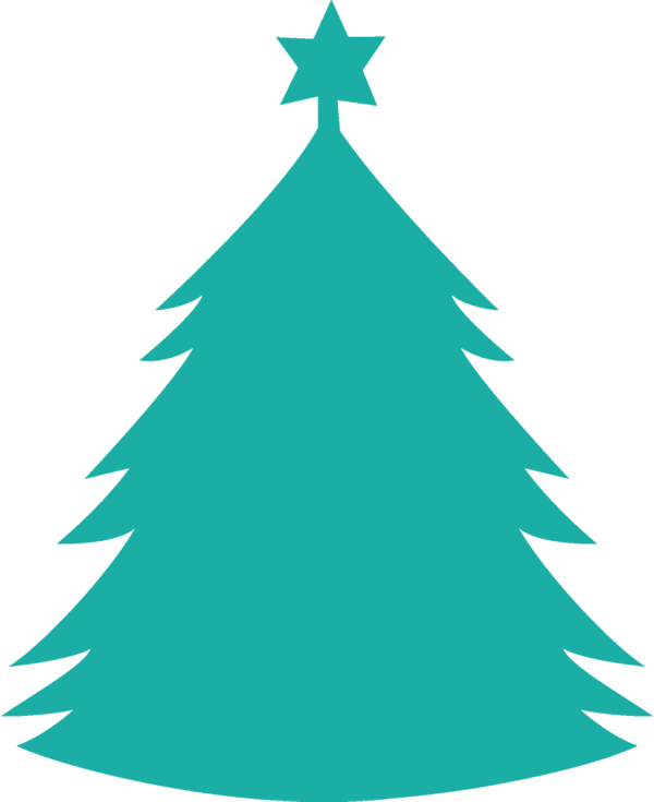 Transparent christmas Colorado spruce oregon pine White pine for christmas tree for Christmas