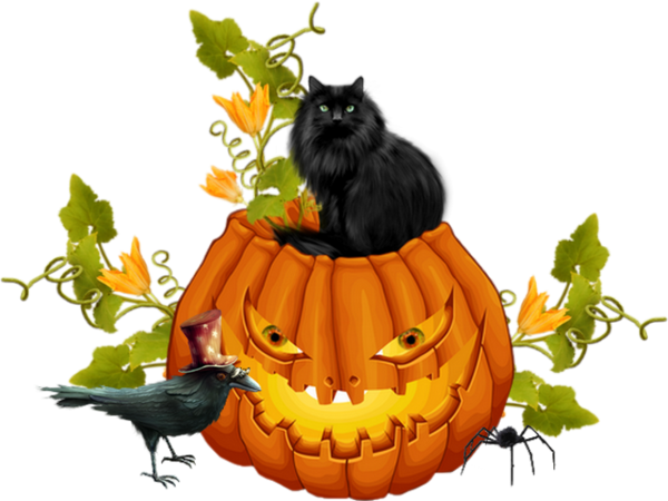 Transparent Whiskers Cat Halloween Gourd for Halloween