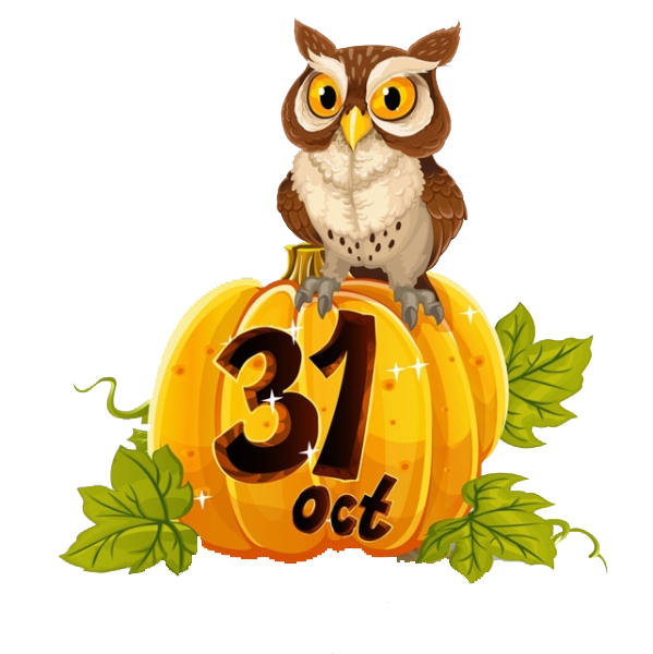 Transparent Halloween October 31 Party Owl Food for Halloween