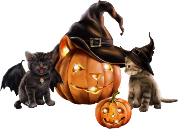 Transparent Black Cat Kitten Halloween Cat for Halloween