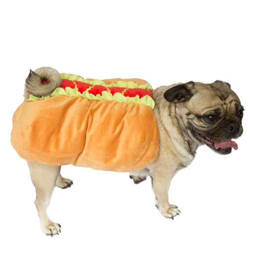 Transparent Pug Hot Dog Dachshund Dog for Halloween
