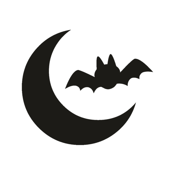 Transparent Jackolantern Pumpkin Carving Black And White Bat for Halloween