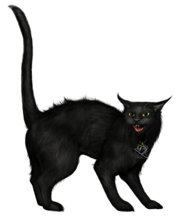 Transparent Cat Black Cat Drawing Paw Korat for Halloween