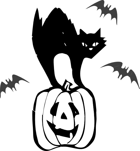 Transparent Cat Black Cat Halloween Black Black And White for Halloween