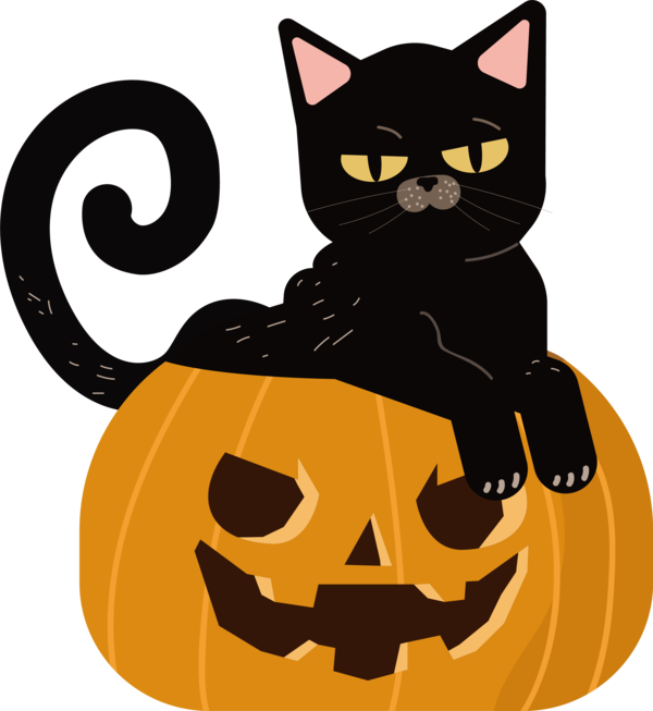 Transparent Cat Kitten Black Cat Snout for Halloween