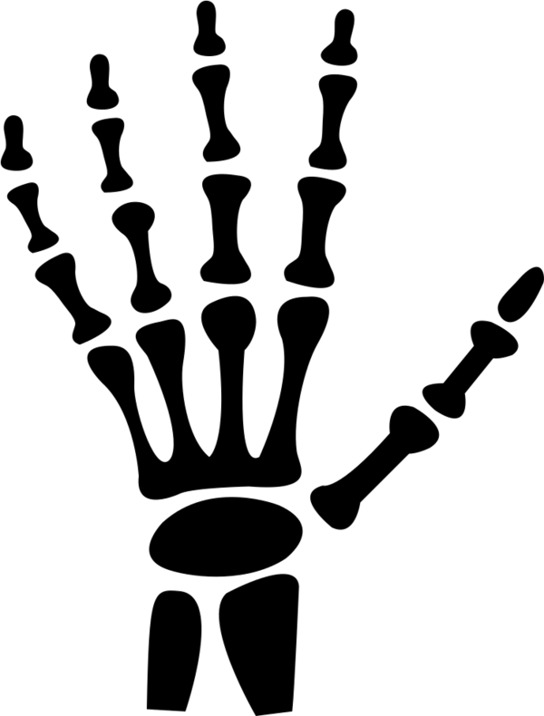 Transparent Hand Carpal Bones Human Skeleton Line Games for Halloween