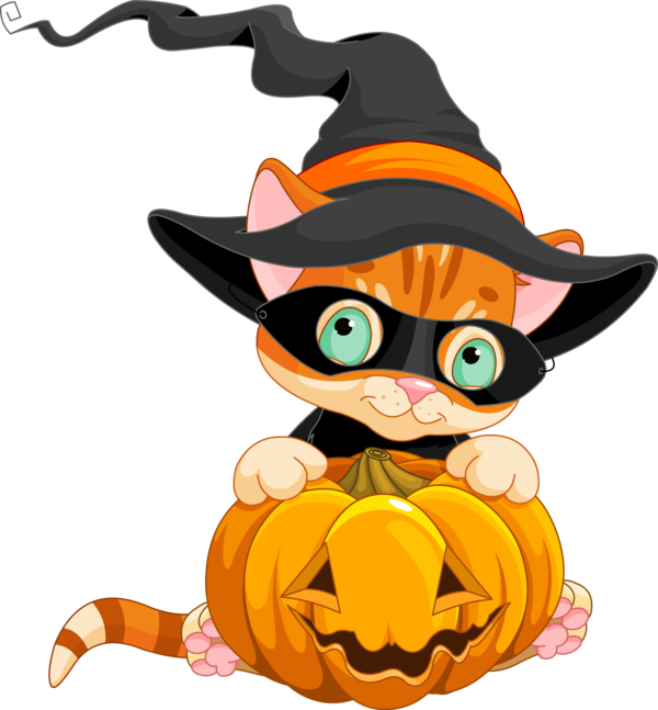 Transparent Halloween Trickortreating Halloween Costume Cat Cartoon for Halloween
