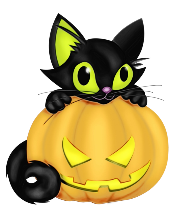 Transparent Cat Black Cat Halloween for Halloween