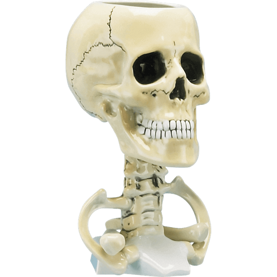 Transparent Chalice Skull Cup Cup Skeleton Bone for Halloween