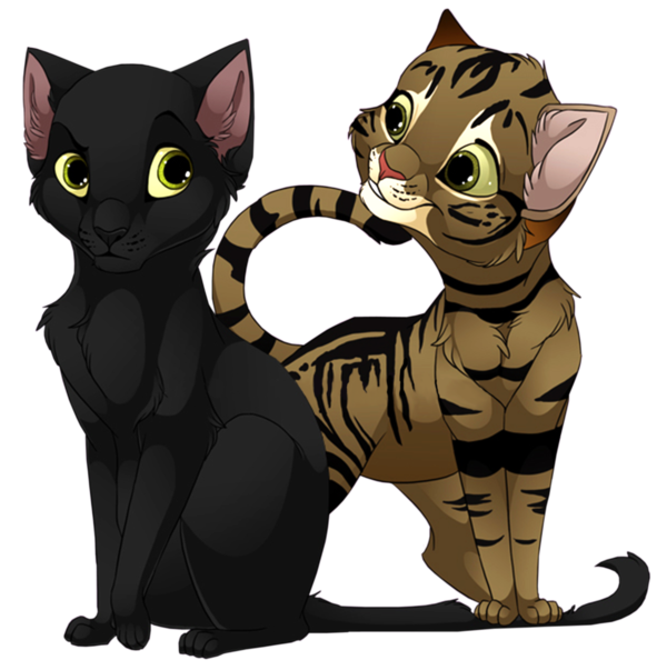 Transparent Cat Tiger Kitten Small To Mediumsized Cats for Halloween