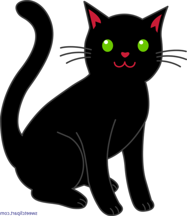 Transparent Cat Kitten Black Cat for Halloween