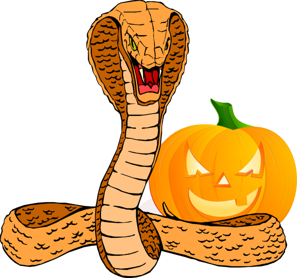 Transparent King Cobra Cobra Snake Winter Squash Food for Halloween